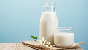 Laktozsuz Süt Nedir ?